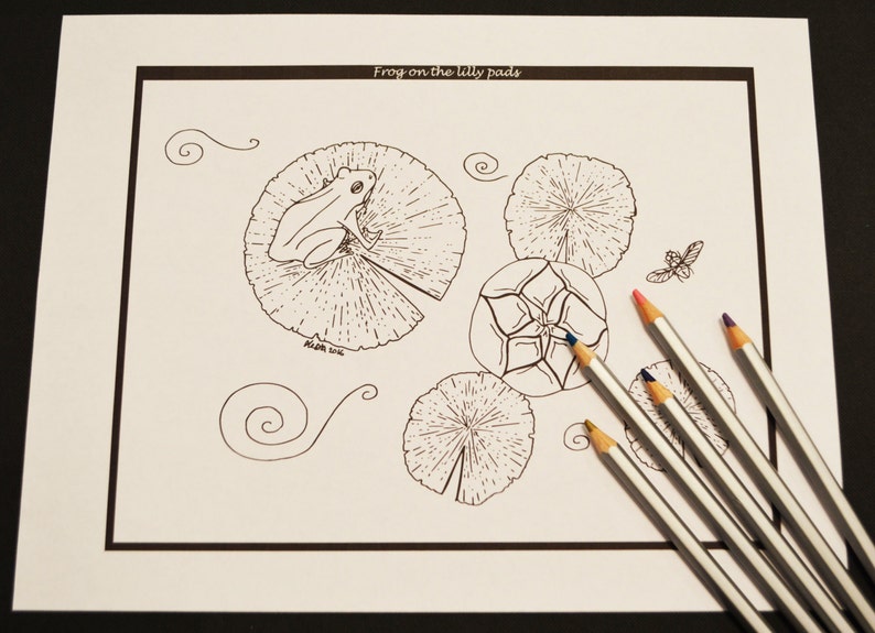 Frog on the Lily Pads Single Adult Coloring Page Instant - Etsy