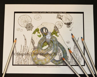Japanese Rat Snake Basking At The Pond Edge, Single Digital Coloring Page.