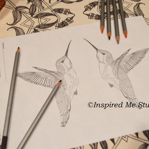 Gespiegelte Kolibris Malseite, Graustufen Digital Download