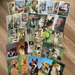 動物や自然の写真や絵が描かれたソ連のビンテージポストカード