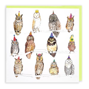 Owls in Party Hats - Greetings Card - Animal Party  - Humour - Cute - nature