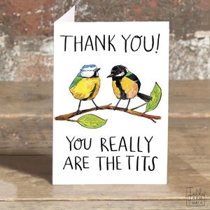 Obrigado! Vocês são mesmo os Tits * Cartão de felicitações para observação de pássaros: Chapim-azul, Chapim-real * Cartão de agradecimento.
