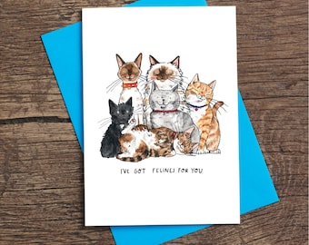 Felines For You Cat Pun Greetings Card - Anniversary/Valentines