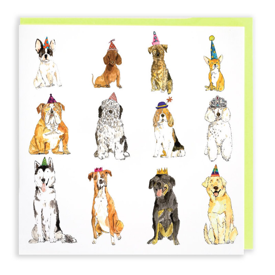 Dogs in Party Hats Animal Party Greetings Card Humour - Etsy