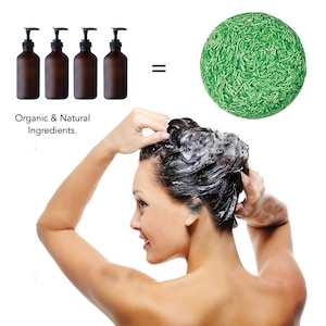 Karma Naturals Hair Shampoo Bar Vegan Shampoo with Green Tea - Dandruff Control | Travel Size Haircare Helps Ensure Nourished Healthy Hair