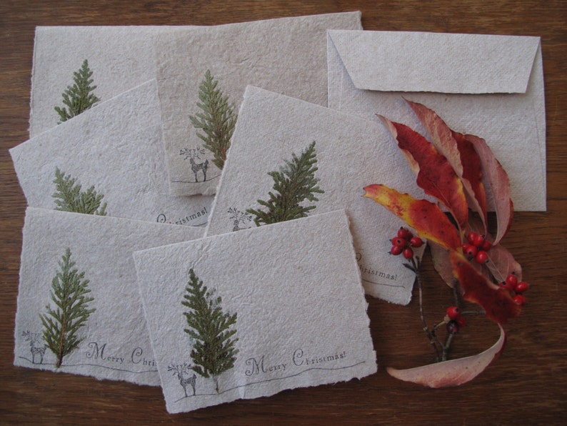 Recycled Paper Christmas Cards 