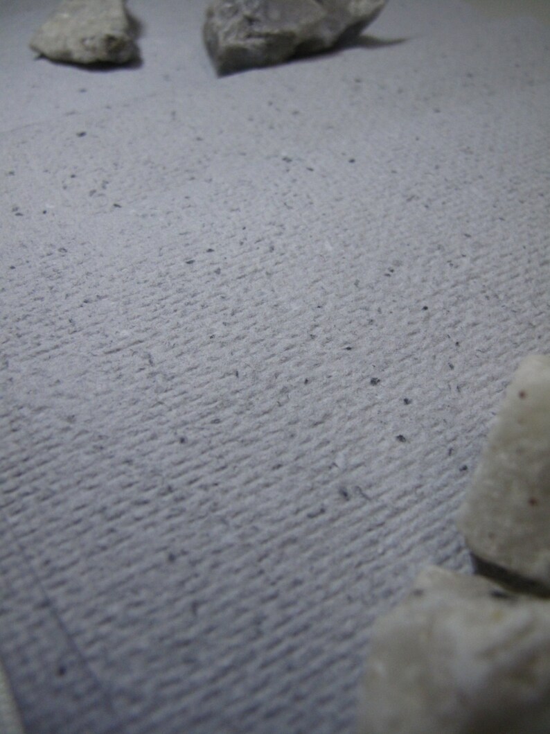 May include: A close-up of a textured, light gray surface with small, dark specks. The surface has a subtle, linear pattern.