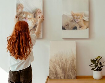 Canvastavla Set Om 3 - Söta Djur Katter Hundar Delikat Gräs Boho, Beige Väggkonst Canvas, Djur Hängande Dekal