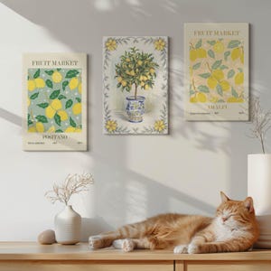 Lot de 3 oeuvres d'art sur toile - Affiches italiennes d'agrumes et de fruits, oeuvre d'art murale jaune, plantes et fleurs à accrocher