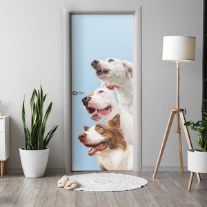 Adesivo 3D Porta Cavalluccio Marino - Vinile Autoadesivo 95x215cm - Foto 6