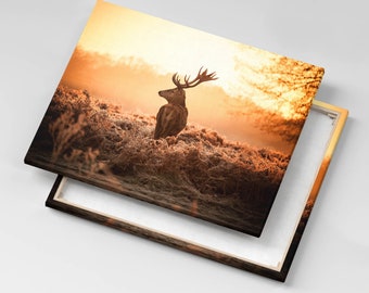 Deer at sunrise Canvas, Picture Wall Hanging, Beige Wall Decor, Animals Canvas Print