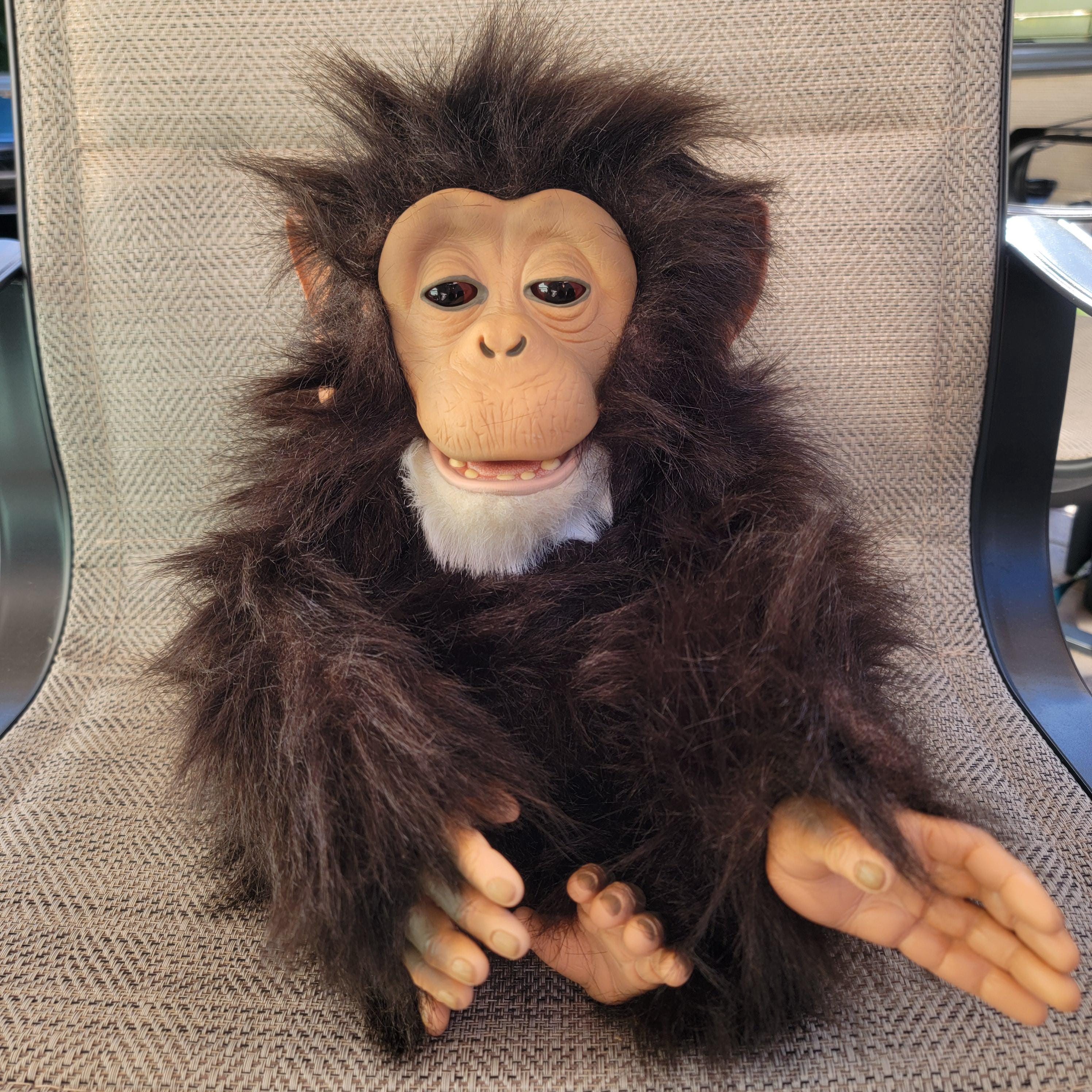 Hasbro Scimmietta Furreal Furreal Friends Monkey