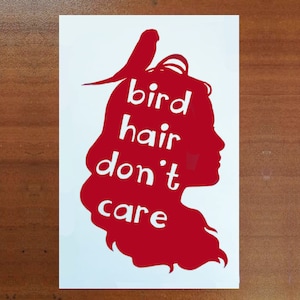 Parrot Owner Bird Hair Don&#39;t Care Car Vinyl Decal - Sticker