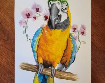 Custom Bird Parrot Watercolor Painting - Pet Portraits - Keepsakes - Memorials