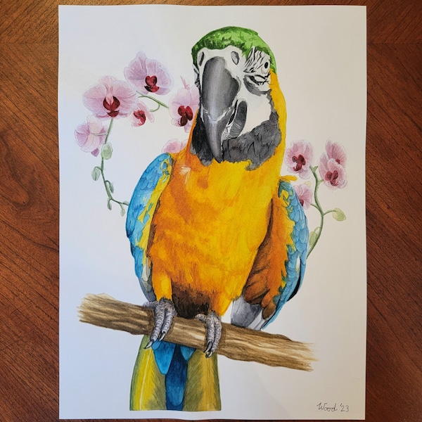 Custom Bird Pet Painting Etsy