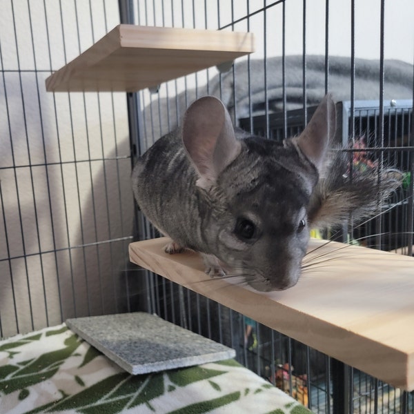 Large Wooden Pet Ledge for Chinchillas, Ginnea Pigs, and Ferrets