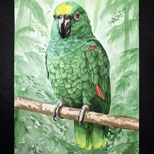 Custom Bird Parrot Watercolor Painting - Pet Portraits - Keepsakes - Memorials