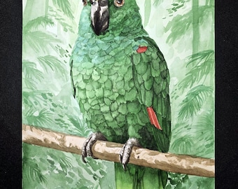 Custom Bird Parrot Watercolor Painting - Pet Portraits - Keepsakes - Memorials