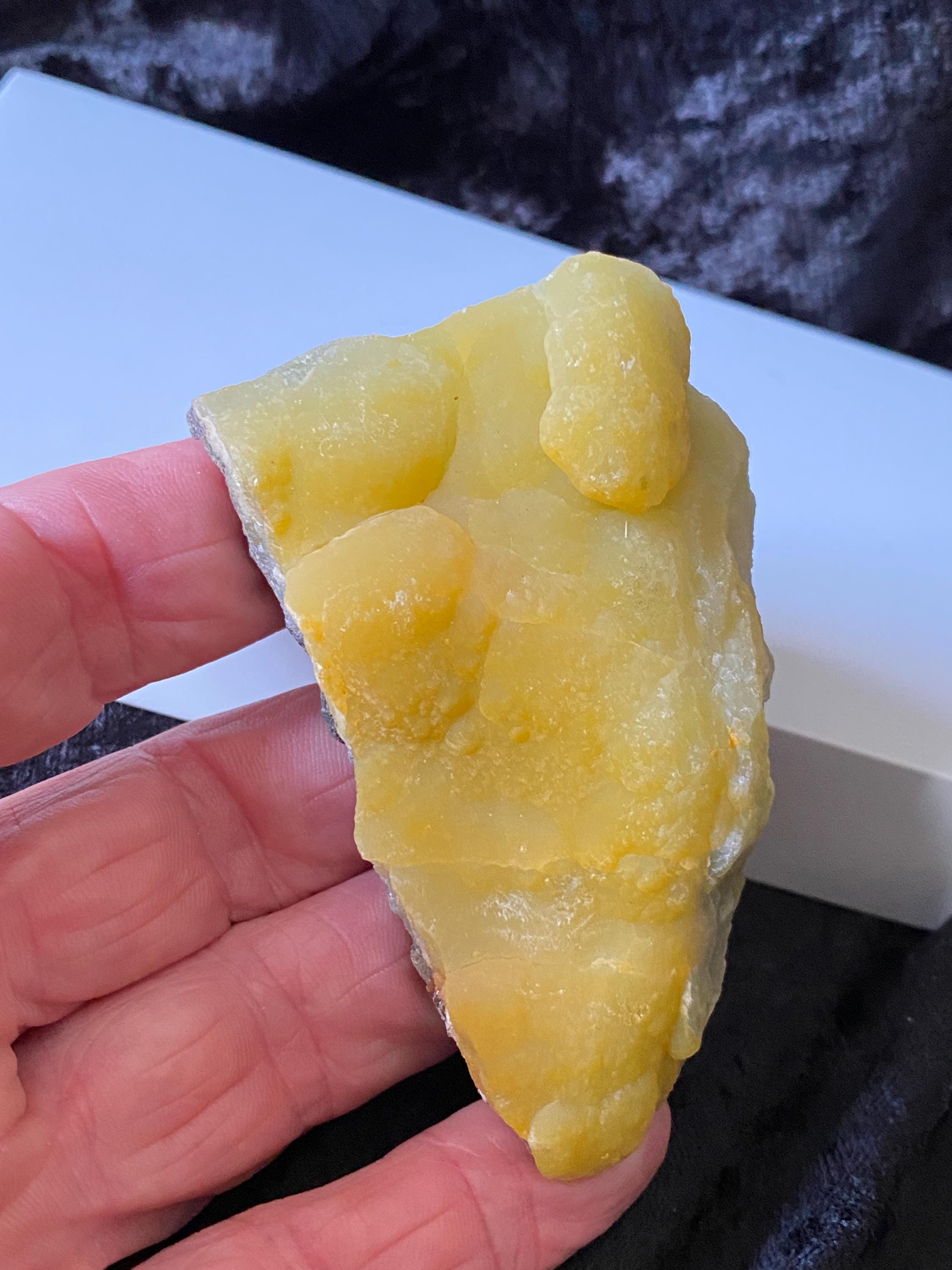 天然石 海 石 植物の跡あり アンティーク 高品質 レア 希少 縁起物 天然石 仏法 神話 水 自然