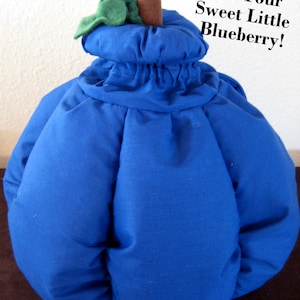 Blueberry Costume, First Halloween Costume, Blueberry Costume Toddler, Blueberry Outfit Baby, Boy Halloween Costume, Girl Halloween Costume image 7