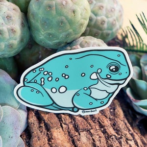May include: A teal blue frog sticker with white spots and a white belly. The sticker is on a wooden surface with green succulents.
