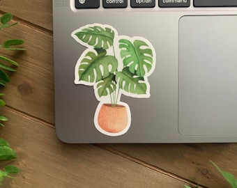 Watercolor MONSTERA Houseplant Sticker | Plants | Plant Lovers | Water Resistant Vinyl Laptop Sticker | Die Cut Sticker | Water Bottle Decal