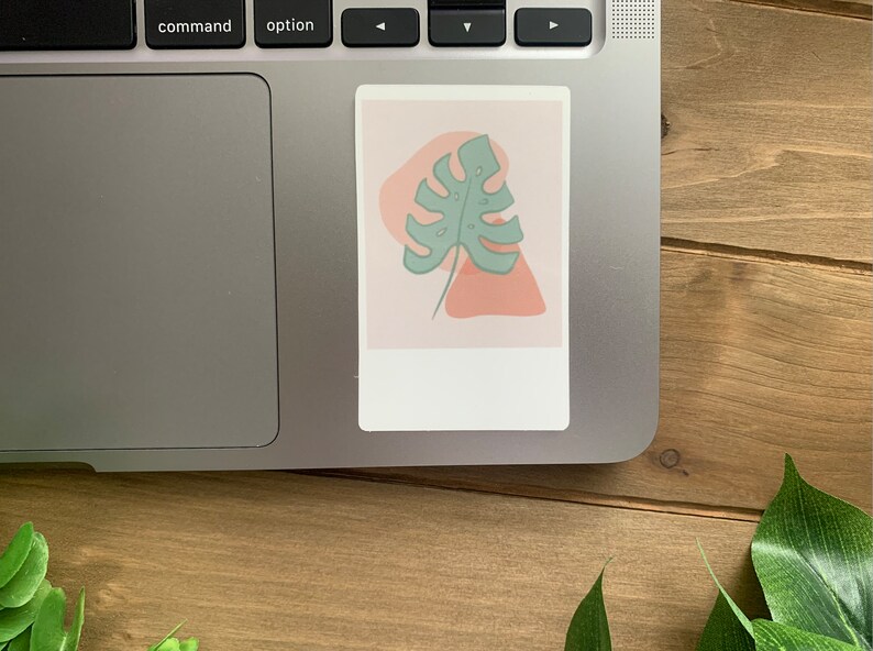 BOHO Aesthetic POLAROID Sticker Pack Desert Sticker Monstera Flowers Water Resistant Vinyl Laptop Sticker Water Bottle Decal image 6