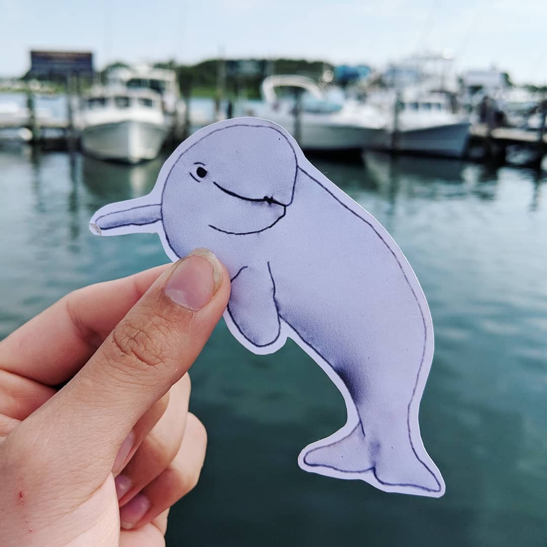 Beluga Whale Sticker Whale Sticker Beluga Whale Ocean - Etsy