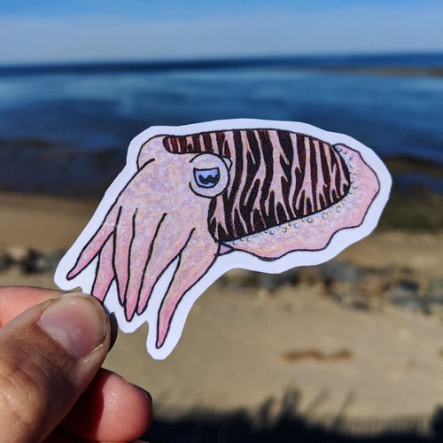 Whale Shark Sticker Whale Shark Fish Sticker Ocean Etsy