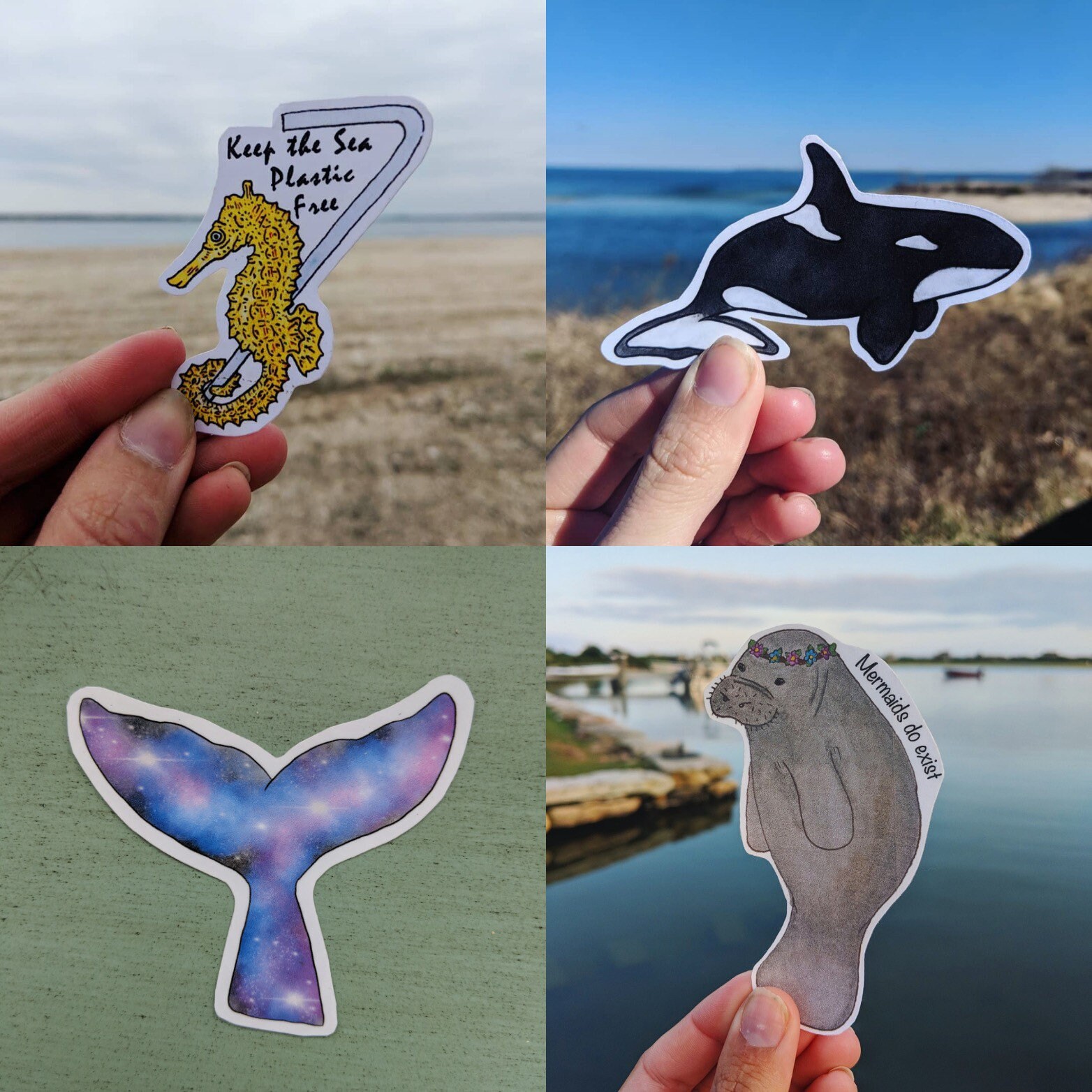 Three Sticker Bundle Plastic Free Stickers Ocean Stickers Etsy