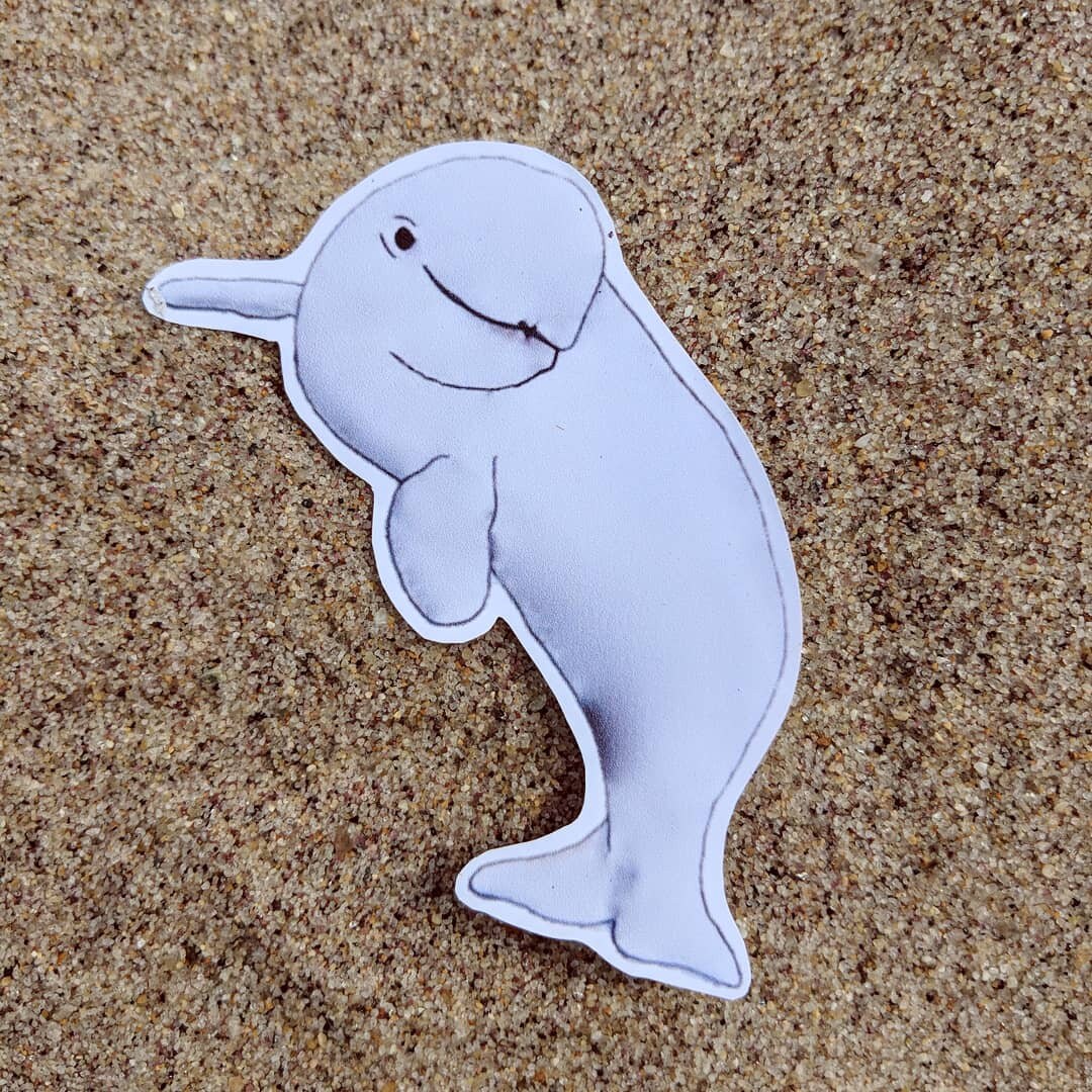 Beluga Whale Sticker Whale Sticker Beluga Whale Ocean | Etsy