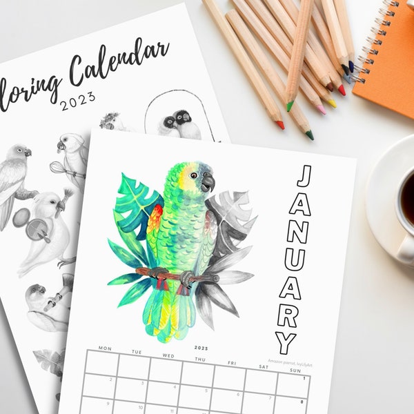 Parrot Calendar 2024 Etsy