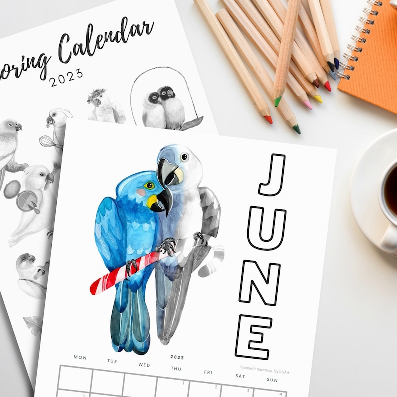 Printable Coloring Calendar 2023 / 2024 Grayscale Parrots Etsy Norway