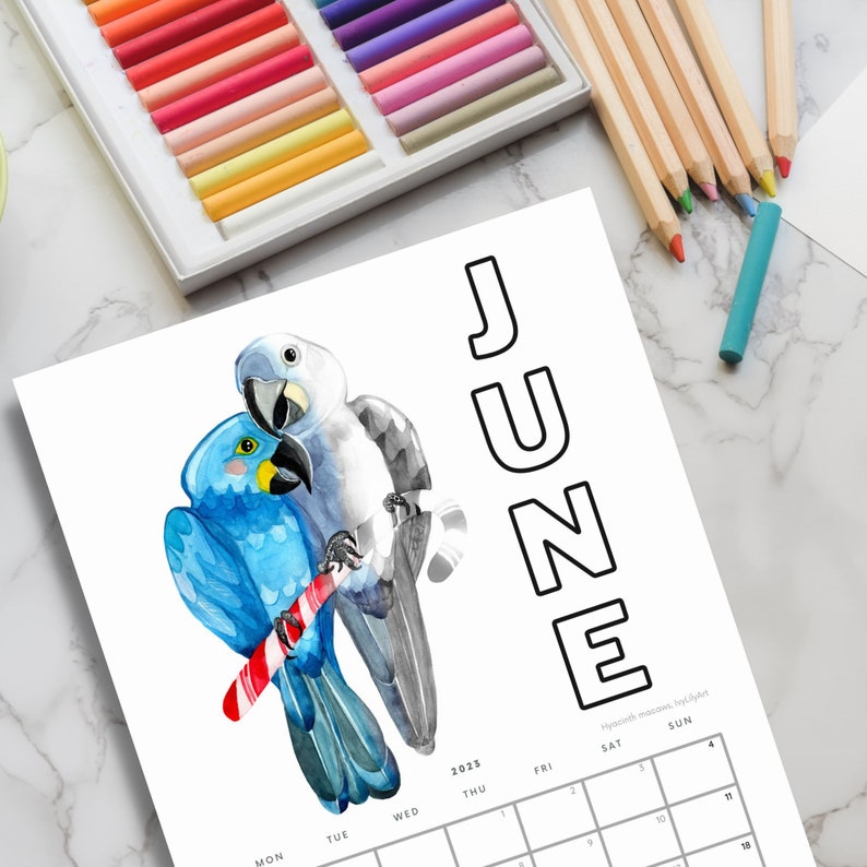 Printable Coloring Calendar 2023 Grayscale Parrots A4 PDF - Etsy UK