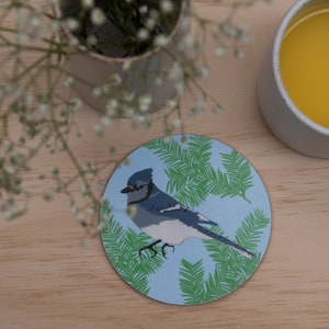 Blue Jay Coaster - animal coaster - new home gift - set of coasters - coaster set - nature coaster - wildlife coaster - illustrated - desk
