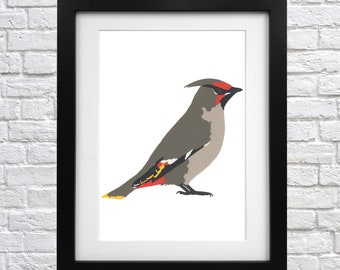 Waxwing Screen Print - art print - bird picture - wall art - woodland bird - animal print - gift for bird lover - gift for dad - bird print