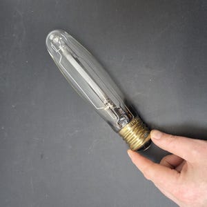 以下が含まれることがあります： 真鍮ベースの透明で細長い電球。電球の内部にはフィラメントが見え、暗い背景に対して手で持たれています。電球の長さは約15cmです。