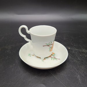 bavaria bareuther waldsassen Demitasse Tea cup and saucer