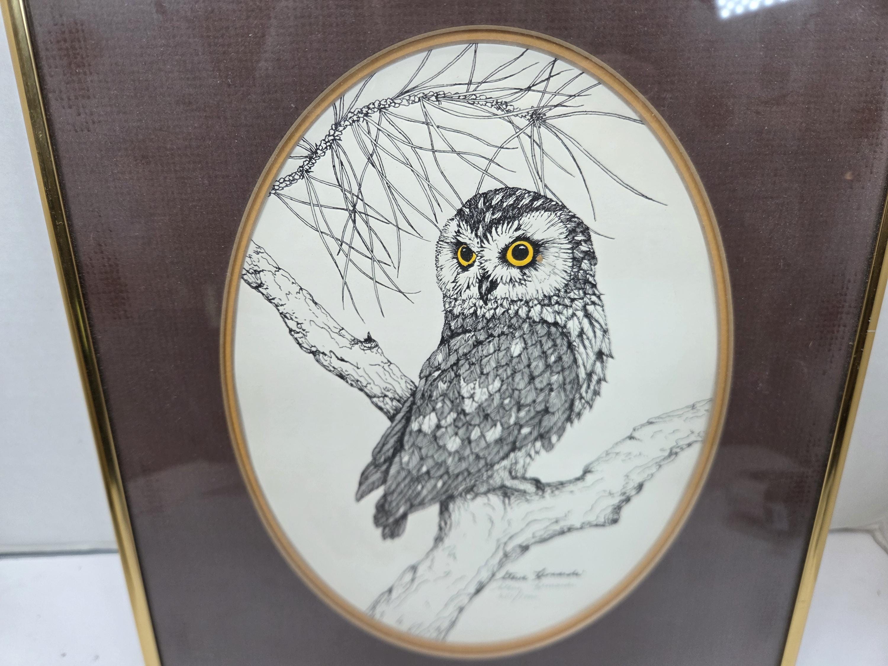 Steve Leonardi Wildlife Graphics Owl Etching Signed 269/1000