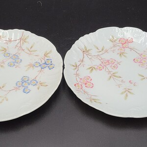 Par de pratos antigos de porcelana antiga, flores rosa e lbue, pratos de salada de 7 1/2 polegadas