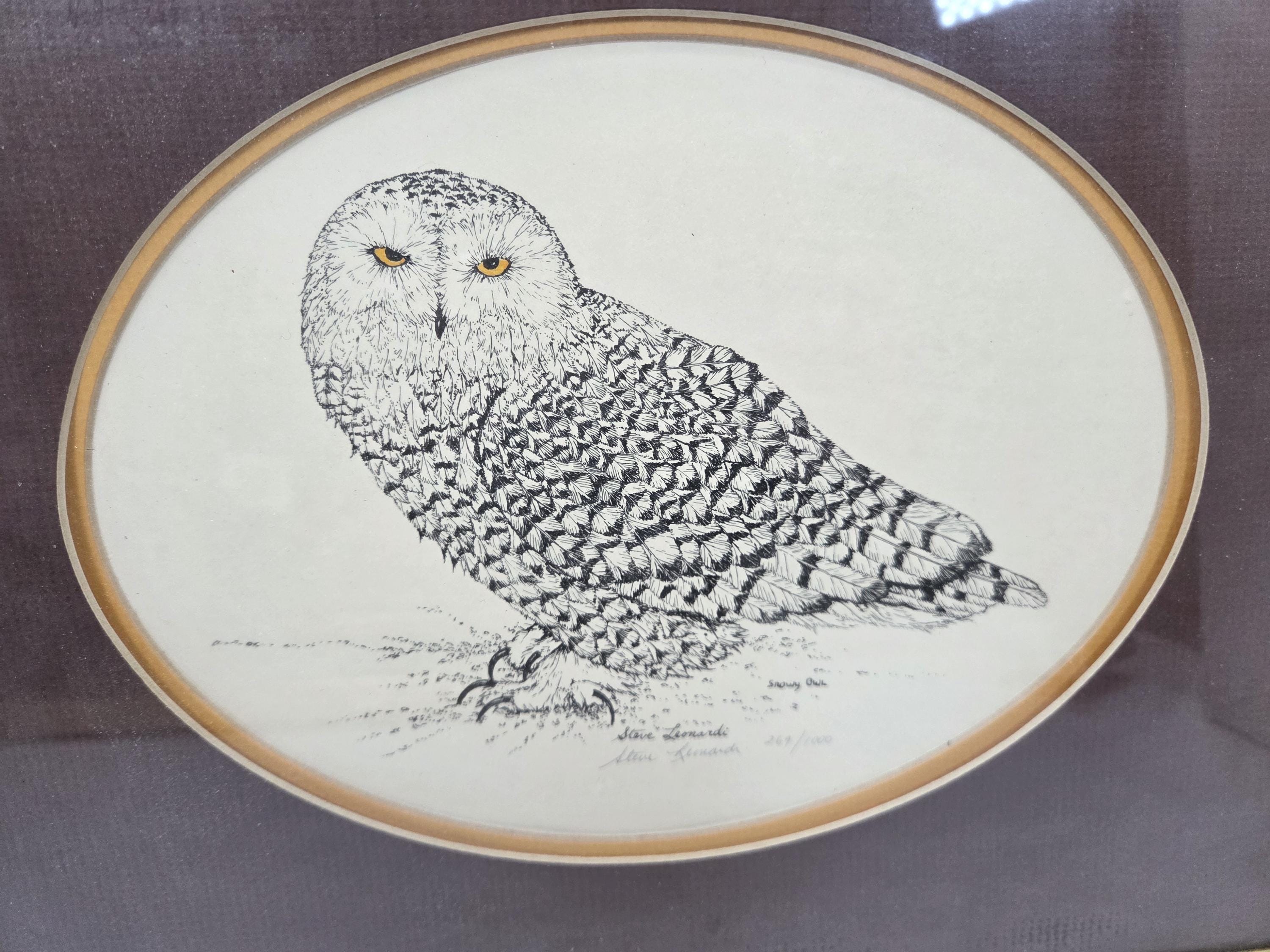 Steve Leonardi Wildlife Graphics Owl Etching Signed 651/1000