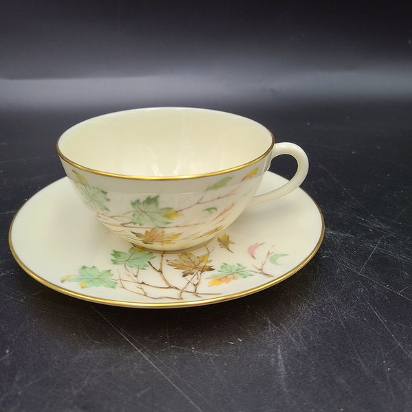 Lenox Westwind Tea cup and saucer MINT