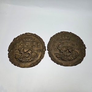 Pair of Rare brass/Bronze wall Plaques Fire breathing Dragon and Crown w/ grape vine rim  9 1/2&quot;