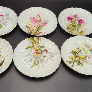 May include: Six white porcelain plates with gold trim and floral designs. Each plate features a different floral pattern with pink, purple, yellow, and blue flowers.