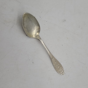 Fancy Floral pattern AMN Sterling co silver plated spoon 5&quot;