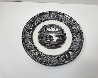 RARE Mulberry Washington vase Podmore walker large 8 3/4" dinner plate Great clean condition