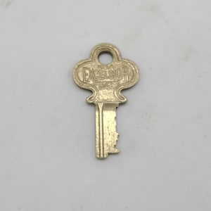 Excelsior trunk - Etsy 日本