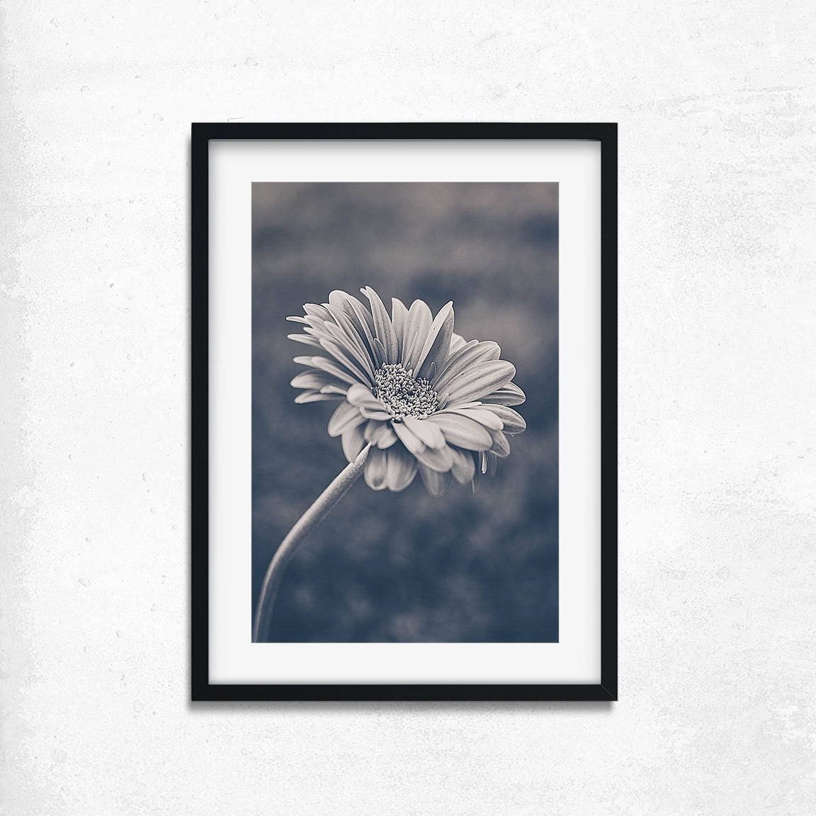 BreezeArt Gartenflagge Gerbera Gänseblümchen – 12,5 X 18 Zoll, SolarSilk Polyester, Wetterfest
