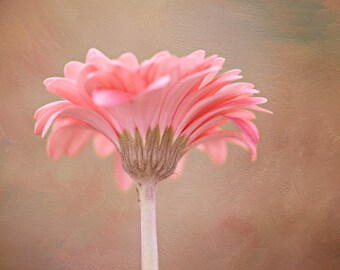 Pink Gerbera Daisy Print - Flower Wall Art - Flower Print - Wall Decor - Floral Print - Instant Download
