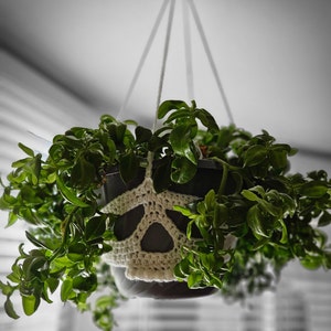 Crochet Skull Sleeve or plant holder